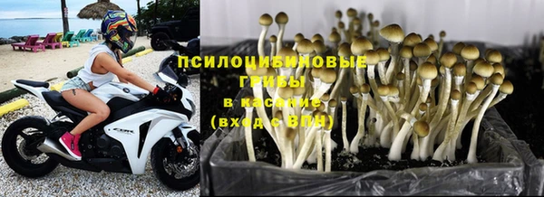 соль курить ск Алзамай