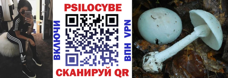 Псилоцибиновые грибы Psilocybine cubensis  купить наркоту  Лахденпохья 